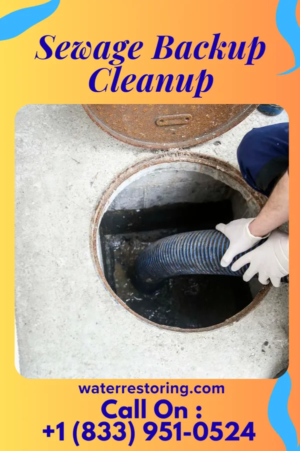 Sewage Backup Cleanup in Hardeeville, SC